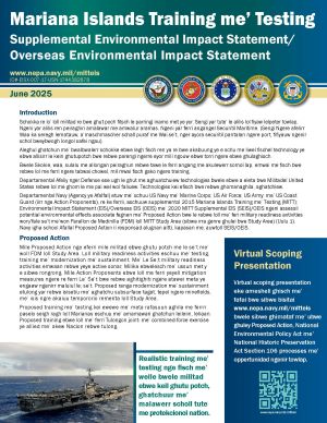 This is an image of the cover of the project overview fact sheet.